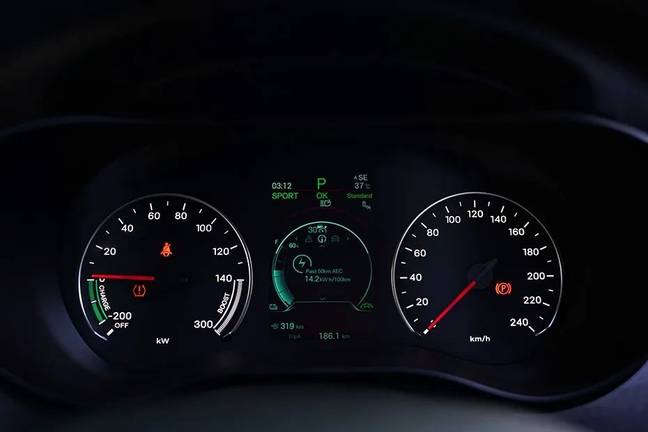 BYD eMAX 7 Interior — Instrument Cluster