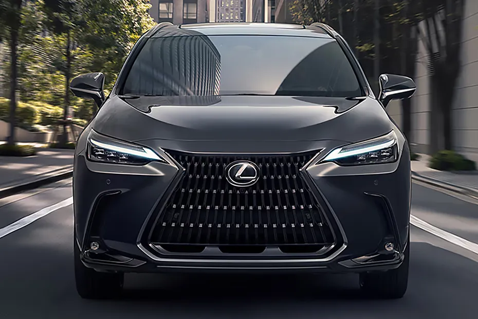 Lexus NX exterior view 5