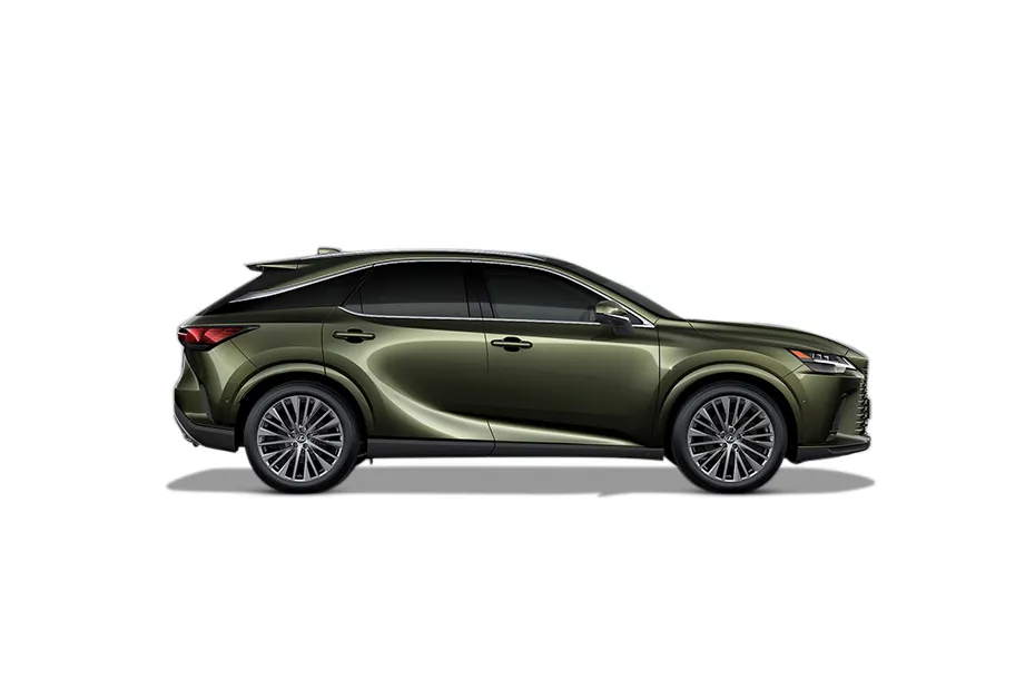 Lexus RX — 224